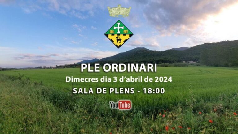 Ple Ordinari – 3 d’abril
