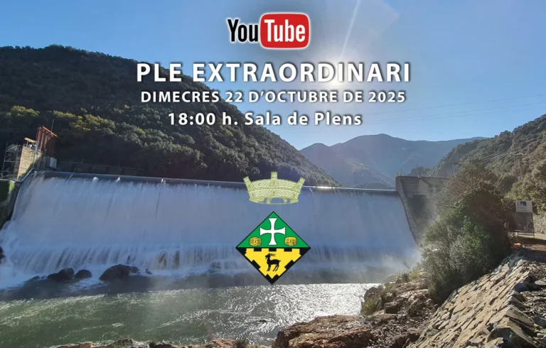 Ple Extraordinari – Dimecres 22 d’octubre de 2025