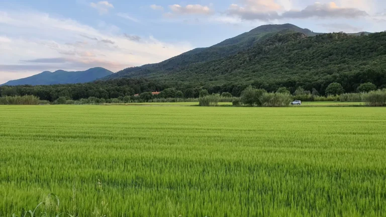 Llistat provisional d’admesos i exclosos – procés selectiu auxiliar informació turística