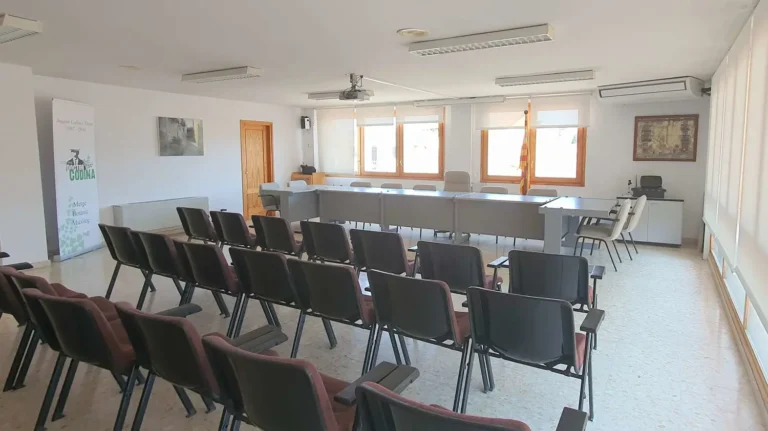 Ple Extraordinari del 02 de Novembre de 2023