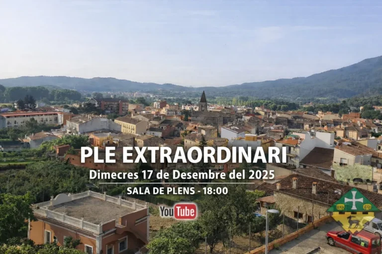 Ple Extraordinari del dimecres 17 de desembre de 2025