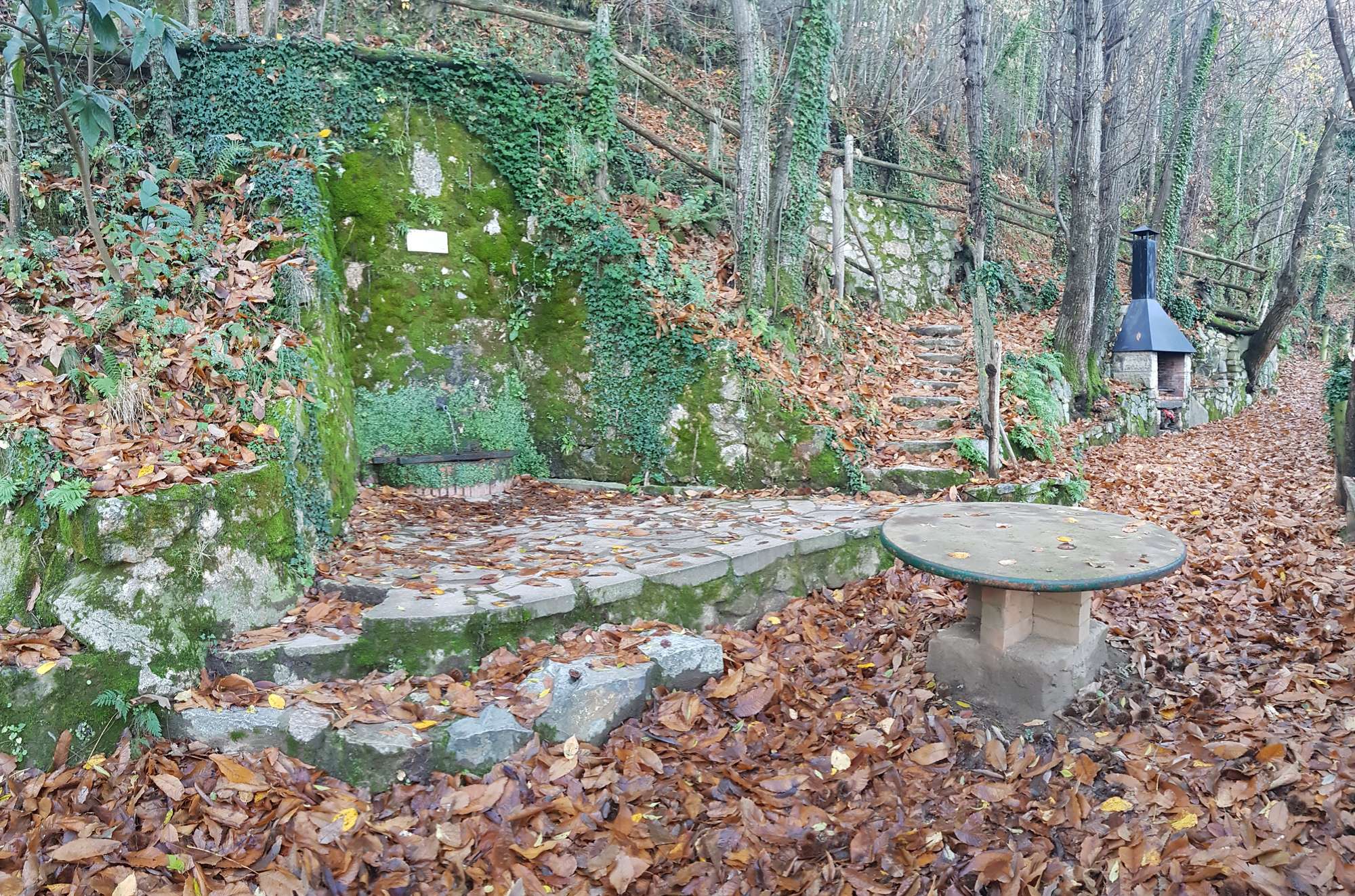 Jaciment de la Font del Bassi